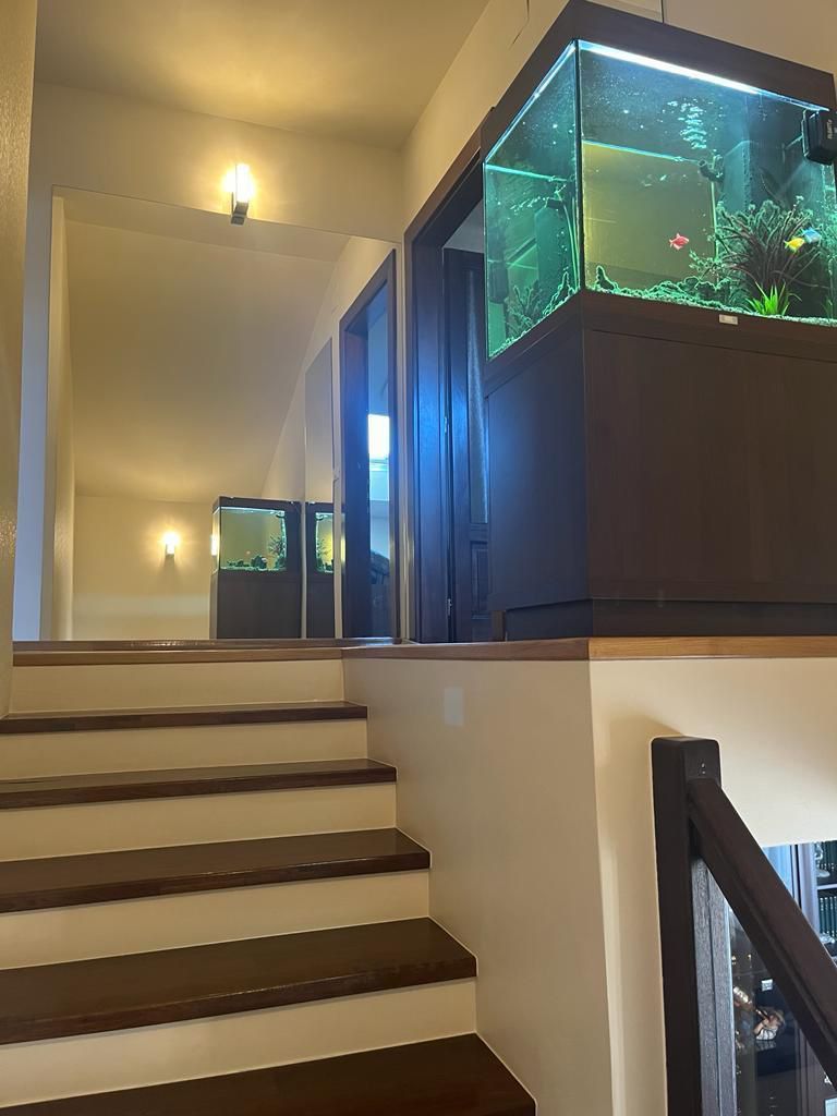 Casa individuala in Timisoara - Poză 5