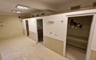 Voluntari | Cladire unica | Spatiu comercial versatil | 1316 mp - Poză 6