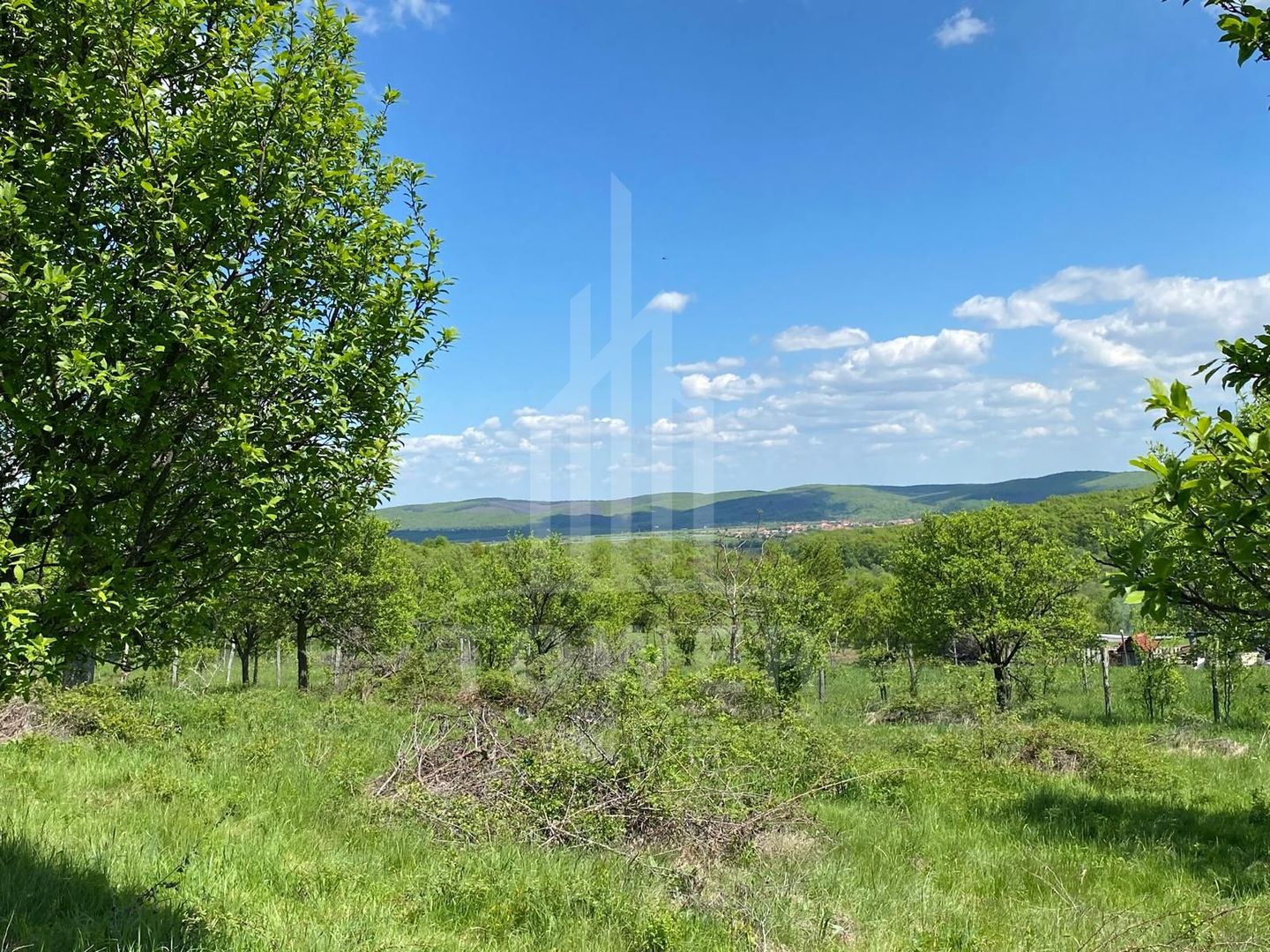 Teren premium 1000 mp-Sibiel - Poză 3
