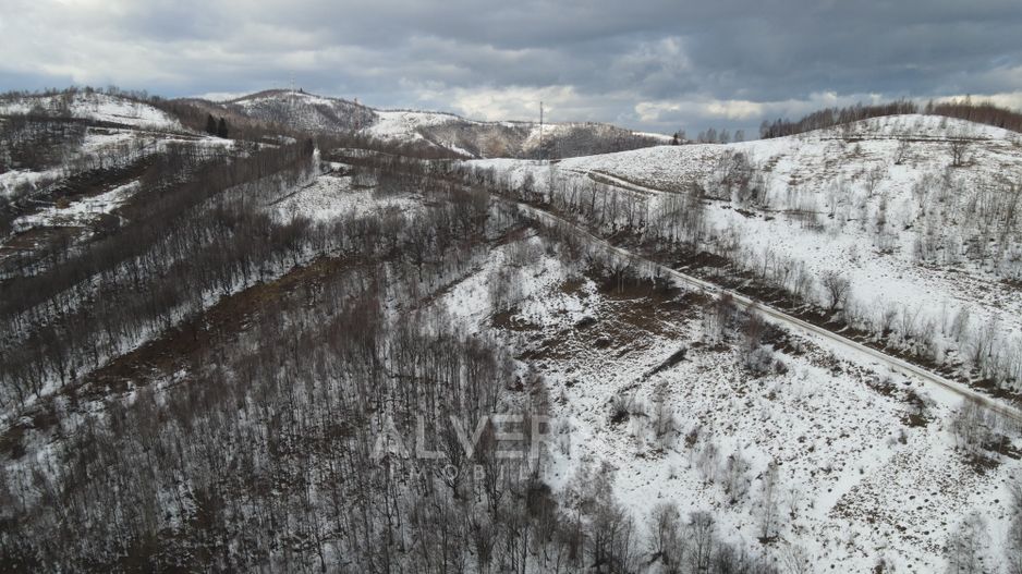 Teren intravilan 3127mp Front 47m | drum asfaltat | Plopi Valea Ierii - Poză 2