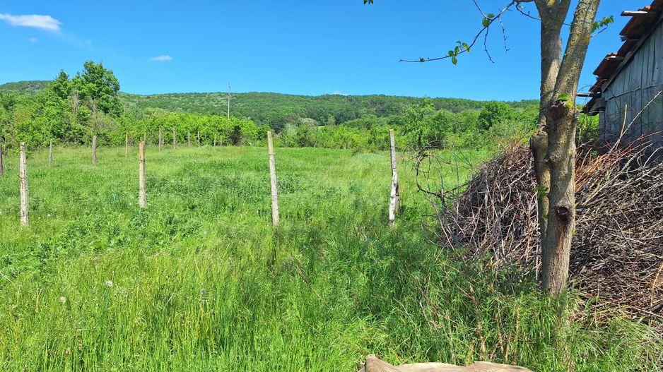 Casa de Vanzare Baiculesti Arges - Poză 16