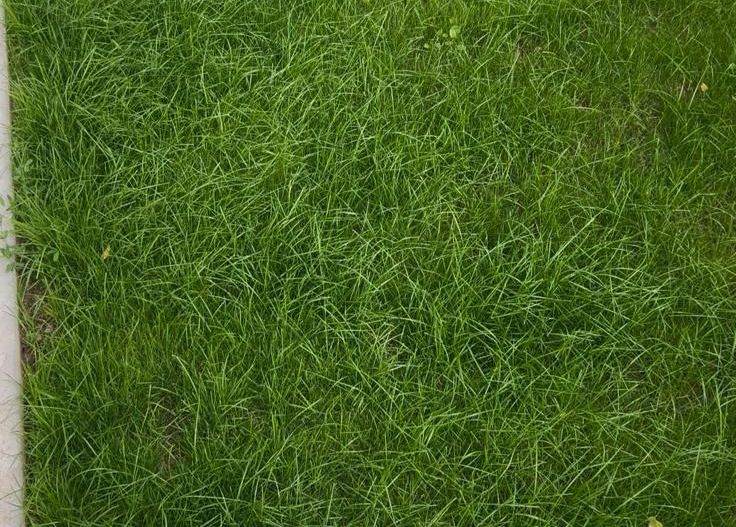 AP. 2 CAMERE GHENCEA, CENTRALA TERMICA, GRADINA, MODERN, BLOC NOU - Poză 11