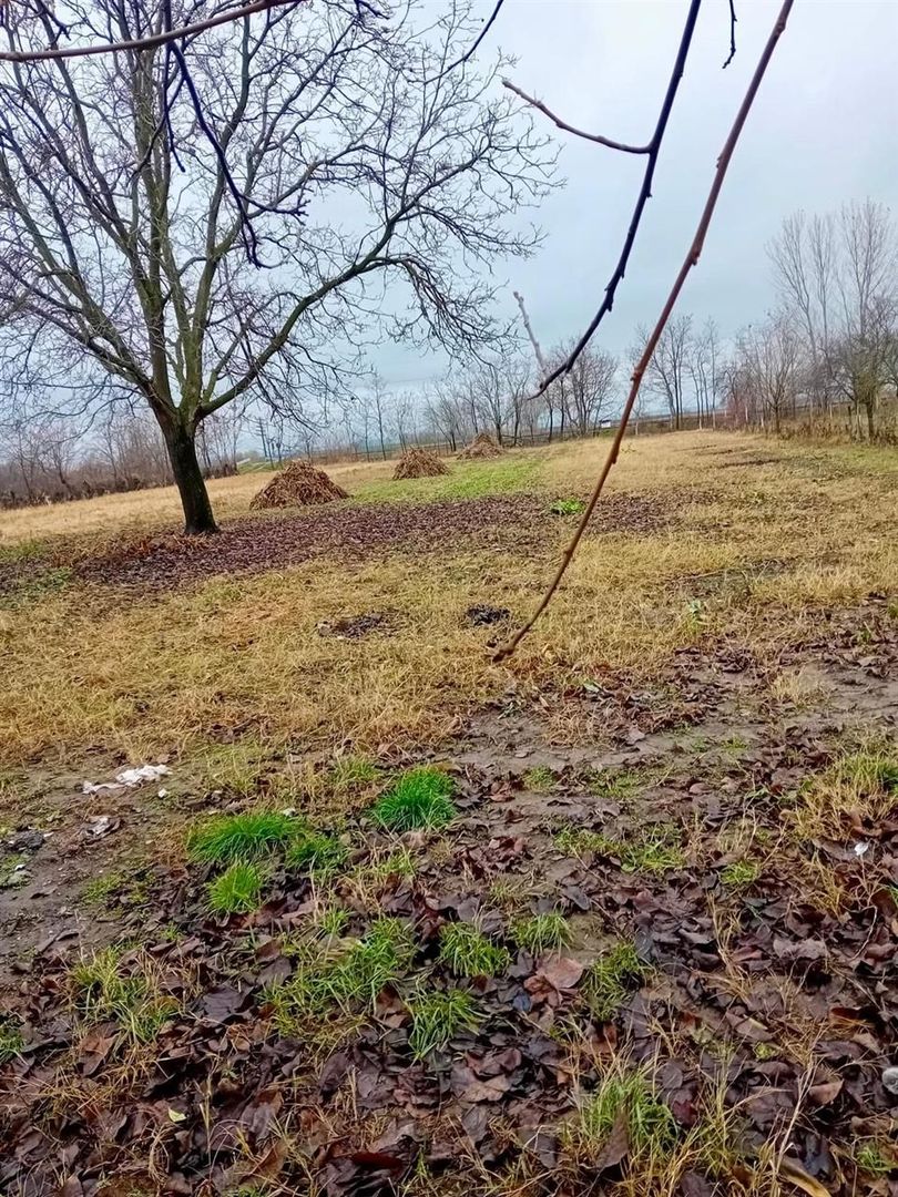 Casa cu 5 camere in localitatea Sacuieni - Poză 10