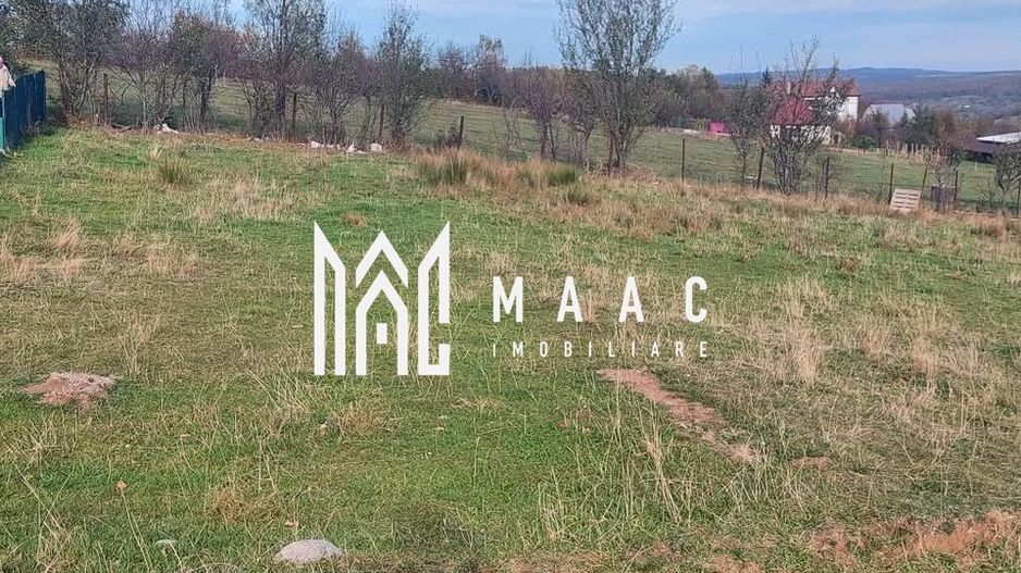 Teren intravilan I 1000 mp I  Tocile - Sadu - Poză 4