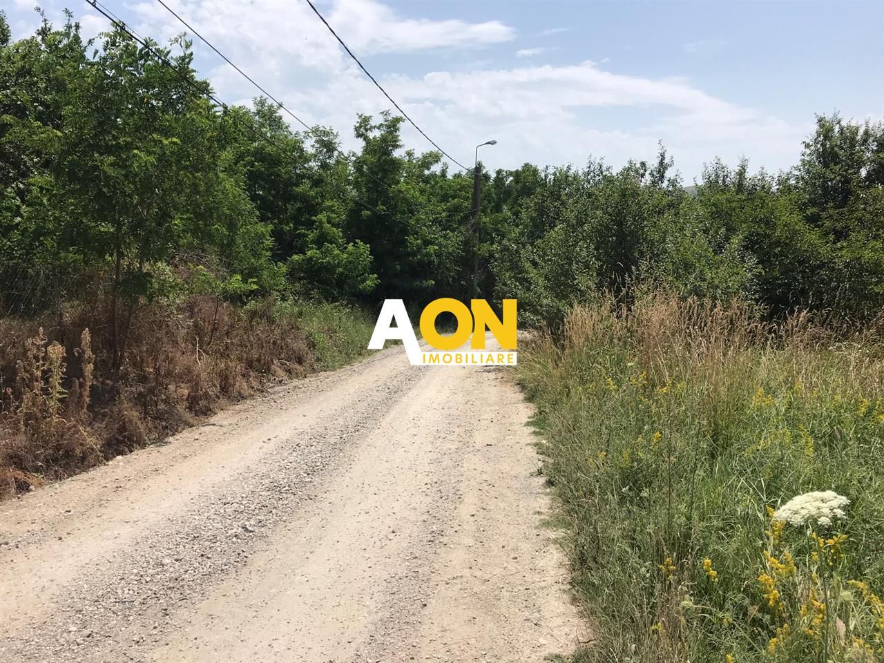 Teren De Vanzare, Zona Oarda de Sus, 2800MP - Poză 2