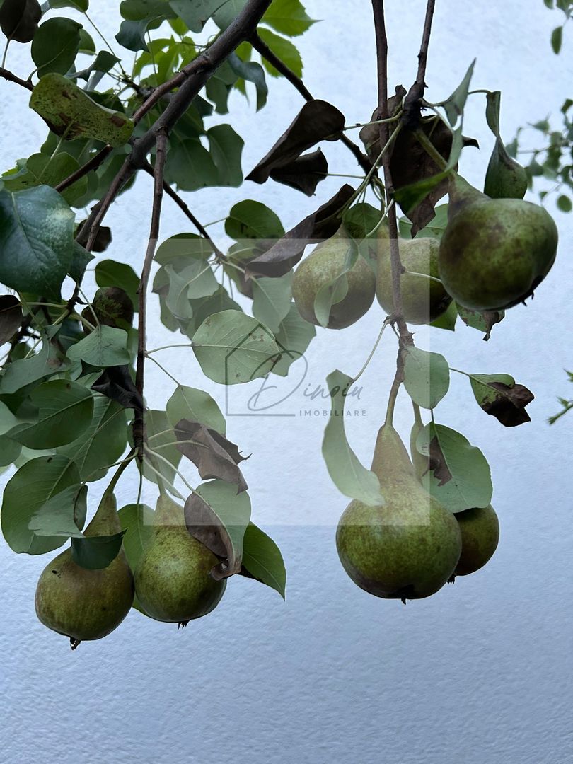 Vila de vanzare in Tunari I Gata de mutat I 4 camere I 5 parcari - Poză 55