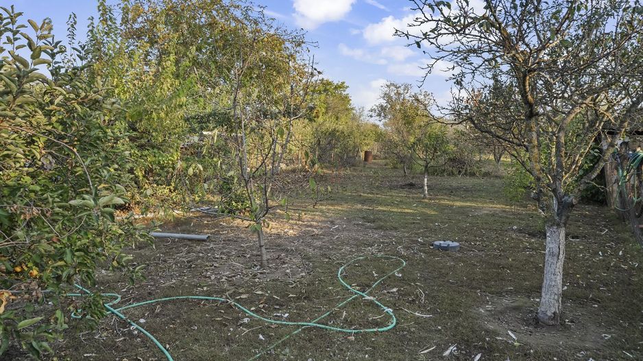 COMISION 0% | 2 Case cu Spatiu Comercial | Teren 1019mp | 540 eur/mp - Poză 43