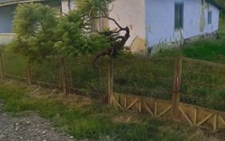 Casă nelocuibila cu teren Sculeni! - Poză 5