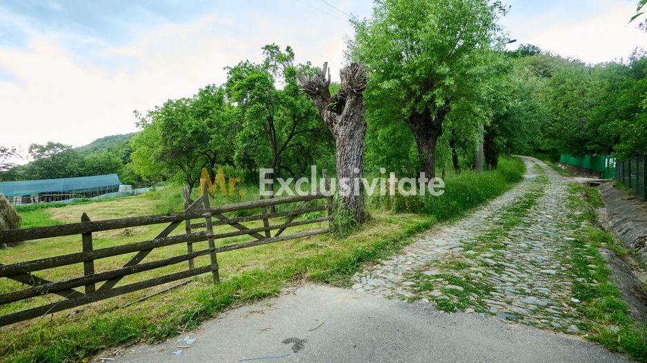Casa cu teren generos - 4696 mp Apa Sarata - Campulung !! - Poză 15