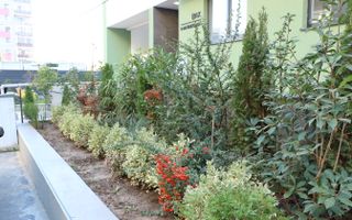 3 CAMERE LA PARTER CU CURTE PROPRIE DE 57MP,  2 BAI, POZITIE PE SUD, COMISION 0% - Poză 43