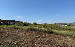 Teren intravilan între Micesti și Sard - Poză 2