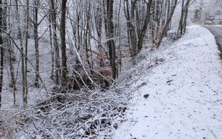 Teren cu izvor de apă minerală  Dangești, Punctul Valea Mare - Poză 21