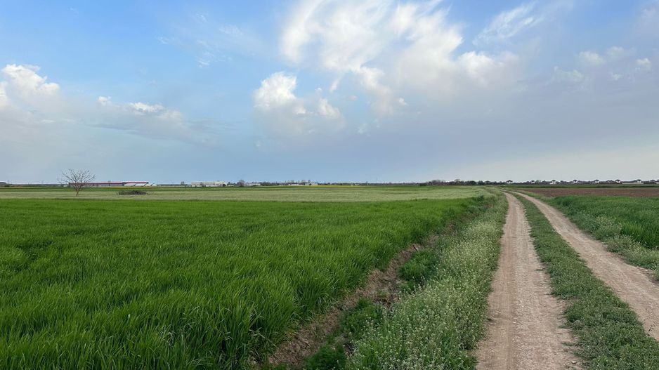 Teren intravilan cu destinatie rezidentiala 7.458 mp Balotesti - Poză 1