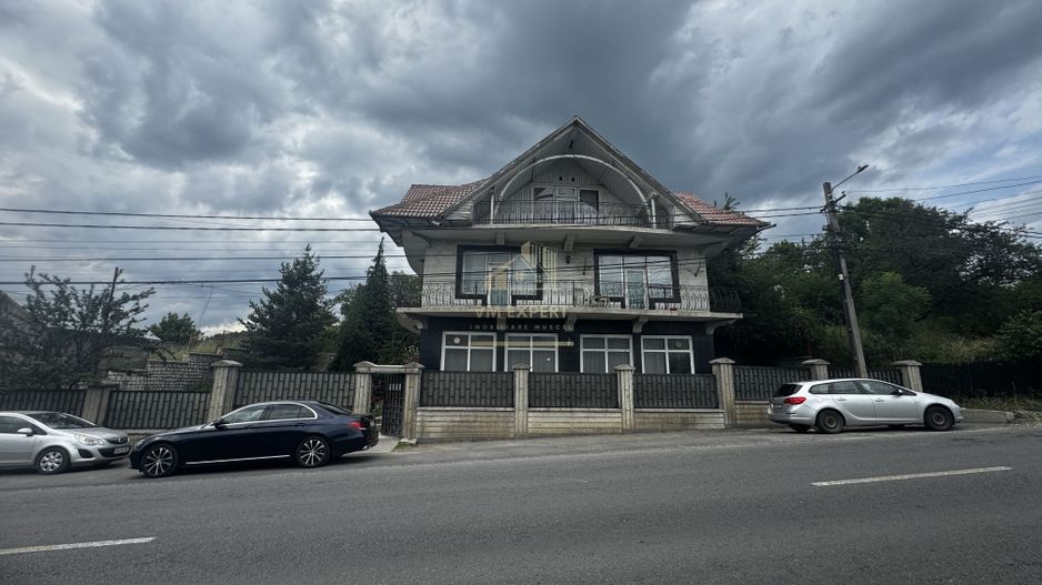 VILA - PENSIUNE CU RESTAURANT + SI TEREN 6406 MP, VALEA MARE PRAVAT, - Poză 60