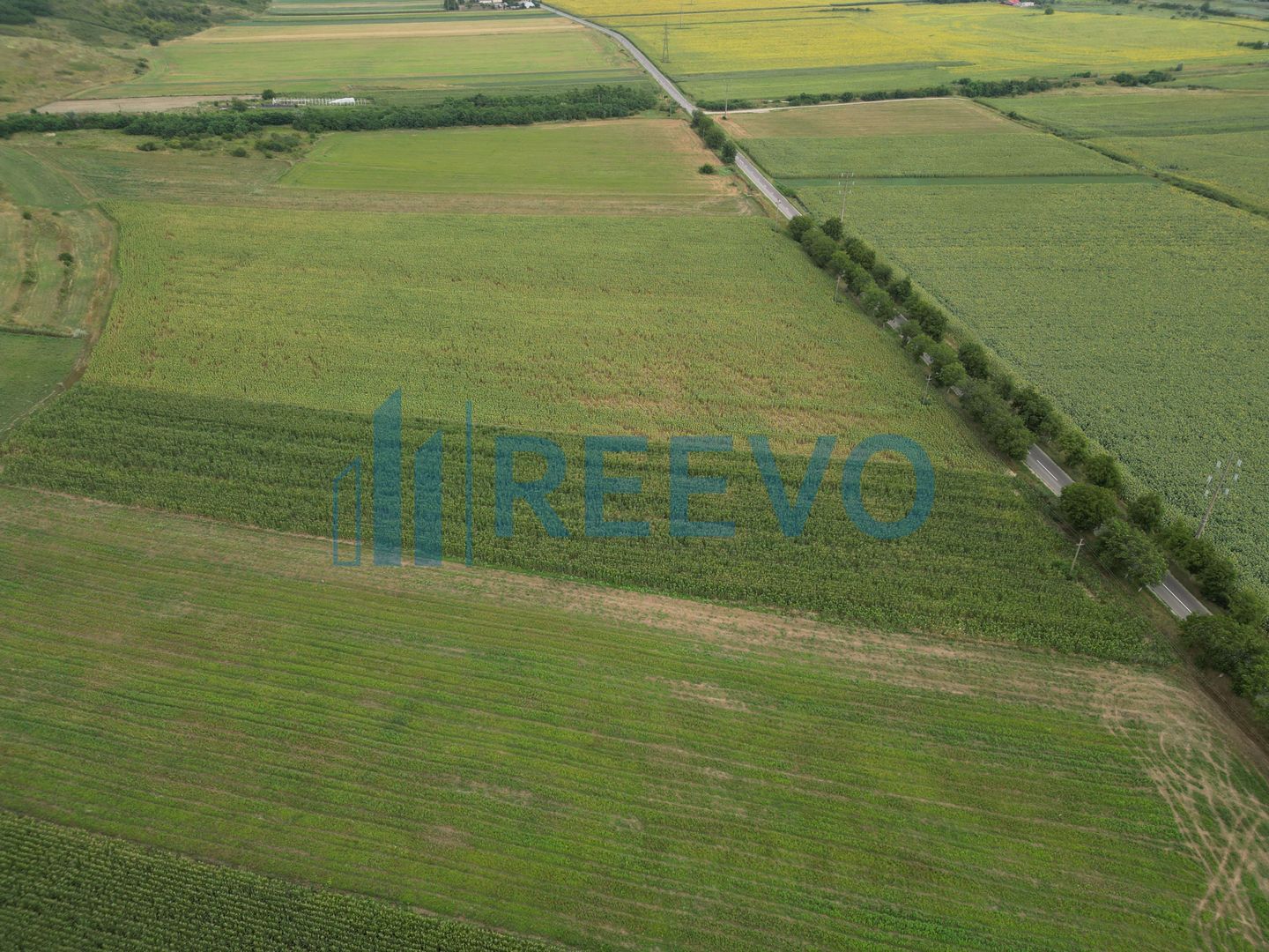 Teren de 4.400 mp Racova - Poză 3