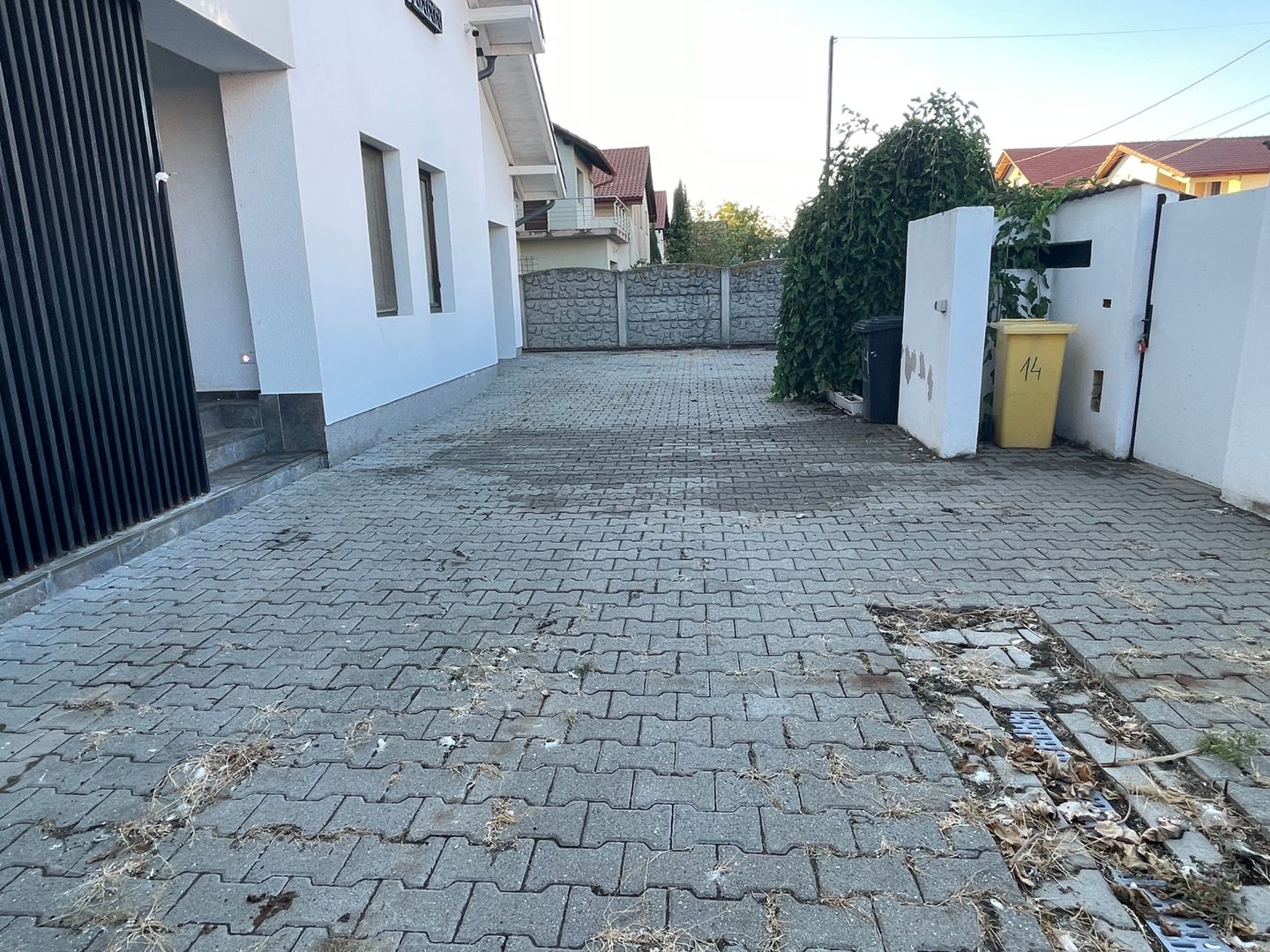 Casă individuală, teren generos zona Buziasului-Ciarda Rosie - Poză 4