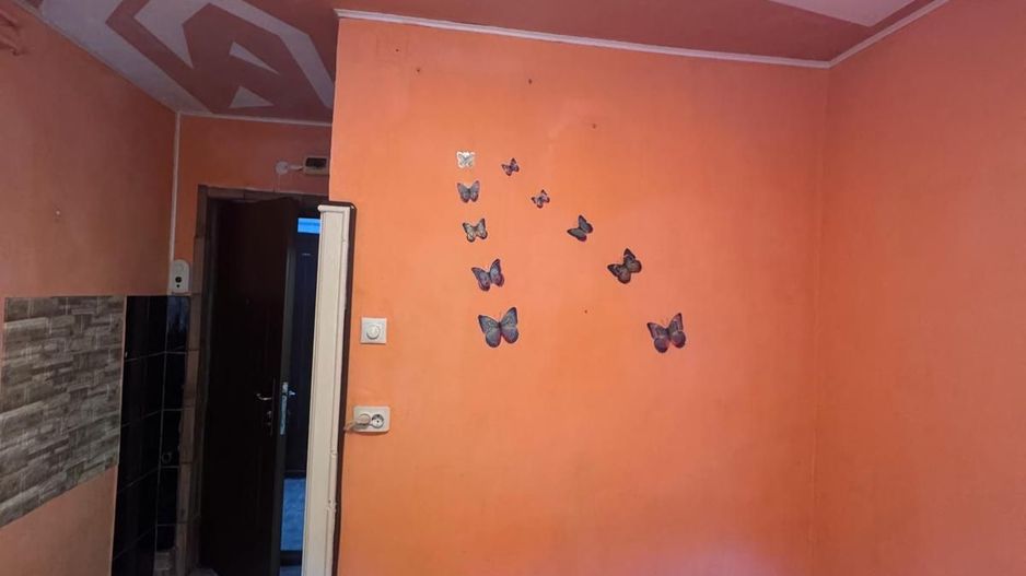 Garsoniera 10mp parter Manastur - Poză 2