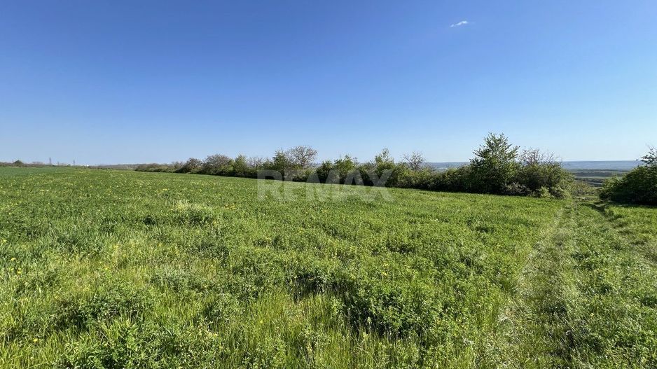 Teren agricol de 40 ari în Ghidighici – oportunitate pentru investiție sau activitate agricolă - Poză 5