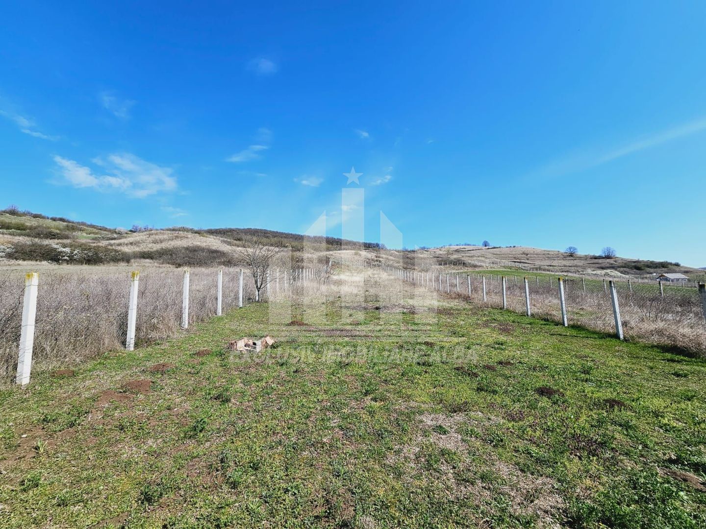 Casa individuala de vanzare, Teleac - Poză 11