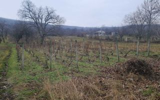 teren + casa batraneasca satul Hilita com Costuleni intravilan - Poză 6