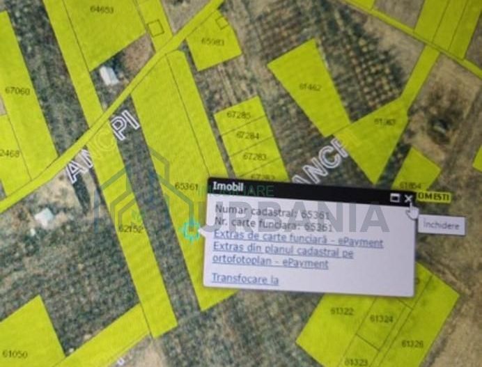 Teren intravilan 5.050 mp Tomesti–Chicerea | P+2E | casa sau parcelare - Poză 1