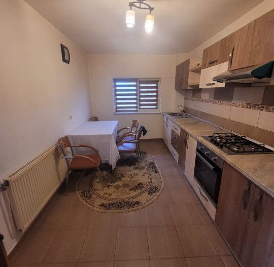 Inchiriere Vila Pitesti, Prundu Mic - Poză 12