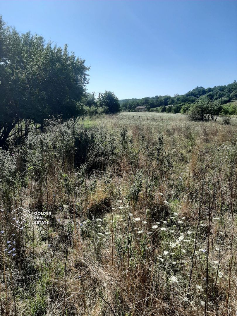 Terenuri 3699 mp, oras Lipova - Poză 3