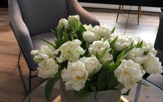 Spatiu pentru birouri de inchiriat in Centrul Istoric - Poză 7