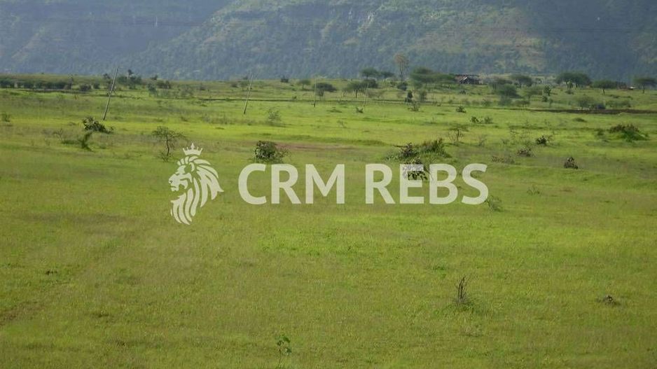 Teren cu PUZ de vanzare in Faget! - Poză 3