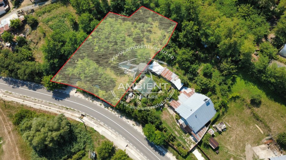 TEREN 1.200 mp în BRODOC - NATURĂ, INTIMITATE ȘI ACCES DIRECT LA ASFALT; - Poză 2