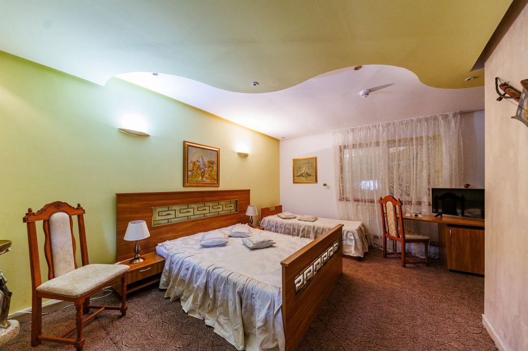 Complex HoReCa functional – 13.000 mp, venituri active, 15 km Timisoara - Poză 15