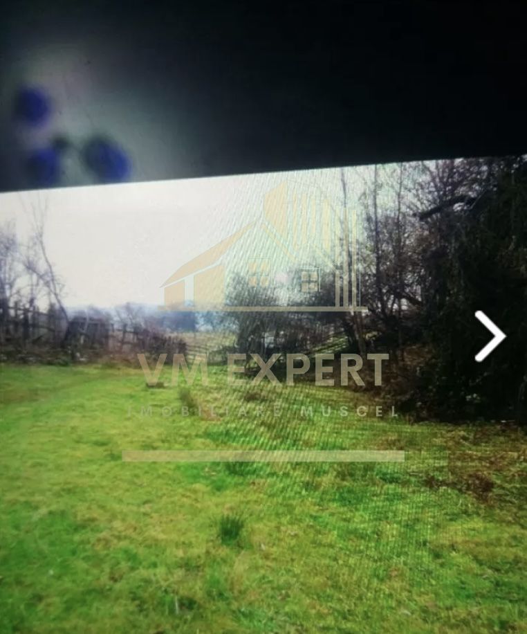 CASA 2 CAMERE, TEREN 900 MP, ALBESTI DE MUSCEL, ARGES - Poză 3