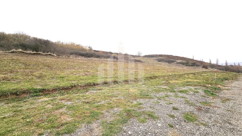 Teren intravilan de vanzare, Cetate-Vii - Poză 2