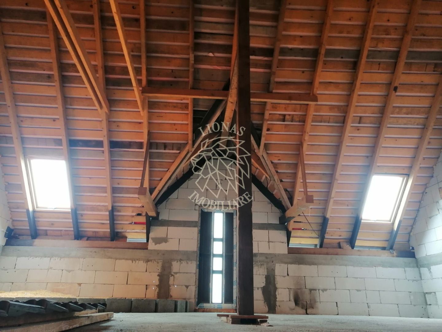 Doua Case 240 mp-teren 1328mp-livada-magazie-Cristesti Pascani - Poză 8