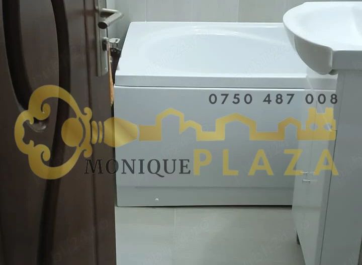 Garsoniera | Zona centrala | Mobilata | Utilata | Renovata total | - Poză 2