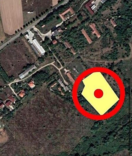 Teren intravilan de vanzare cu o suprafata de 9398 mp in Paleu,Bihor - Poză 3