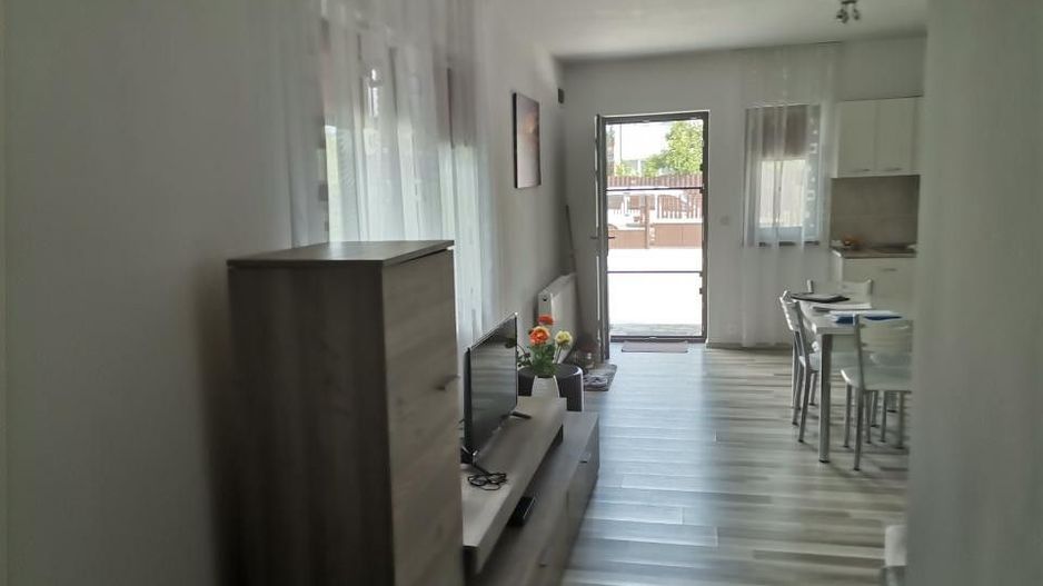 Vanzare vila Pitesti, Intrarea Nicolae Balcescu - Poză 3