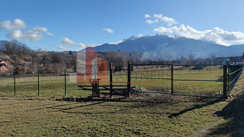 Teren intravilan 1.495 mp | Bran- Tohanu Nou | Vedere Bucegi | Deschidere 45 m - Poză 4