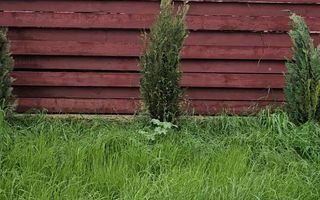 Casă de închiriat 4 camere, P+M, zona Granit, la strada . - Poză 10
