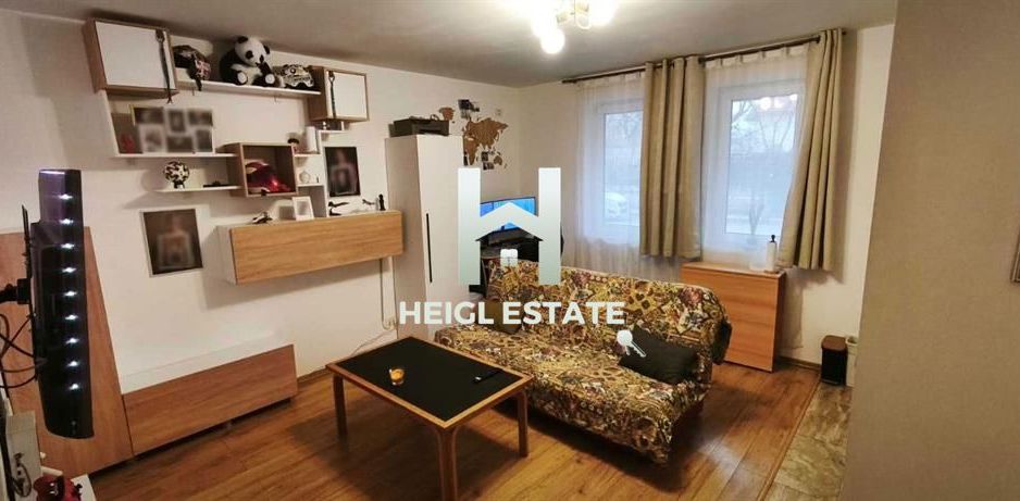 Apartament 1 camera in zona ESO Giroc - Poză 2