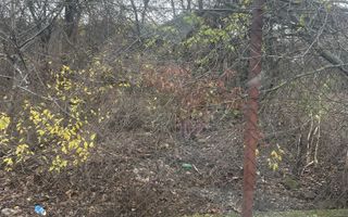 Teren in suprafata de 2165 mp cu front de 30 ml - Poză 1