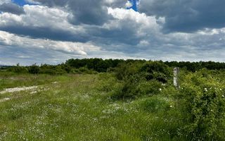 Teren Intravilan Inel Metropolitan - Poză 10