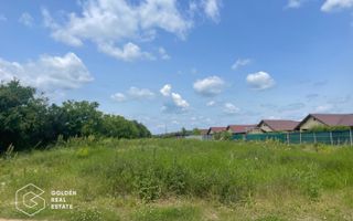 Teren intravilan, Balotești, Strada Cameliei 36, 10.000 mp - Poză 5