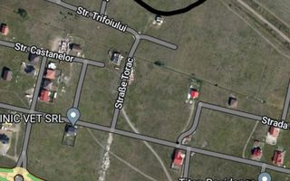 Sacalaz-Teren Intravilan-2 Fronturi Stradale - Poză 2