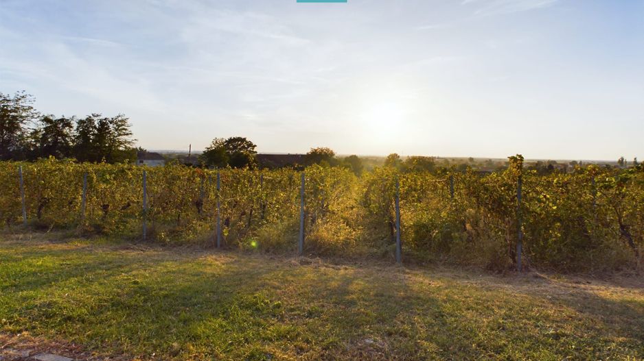 Spațiu comercial - Crama Pivnițele Birăuaș - Poză 30