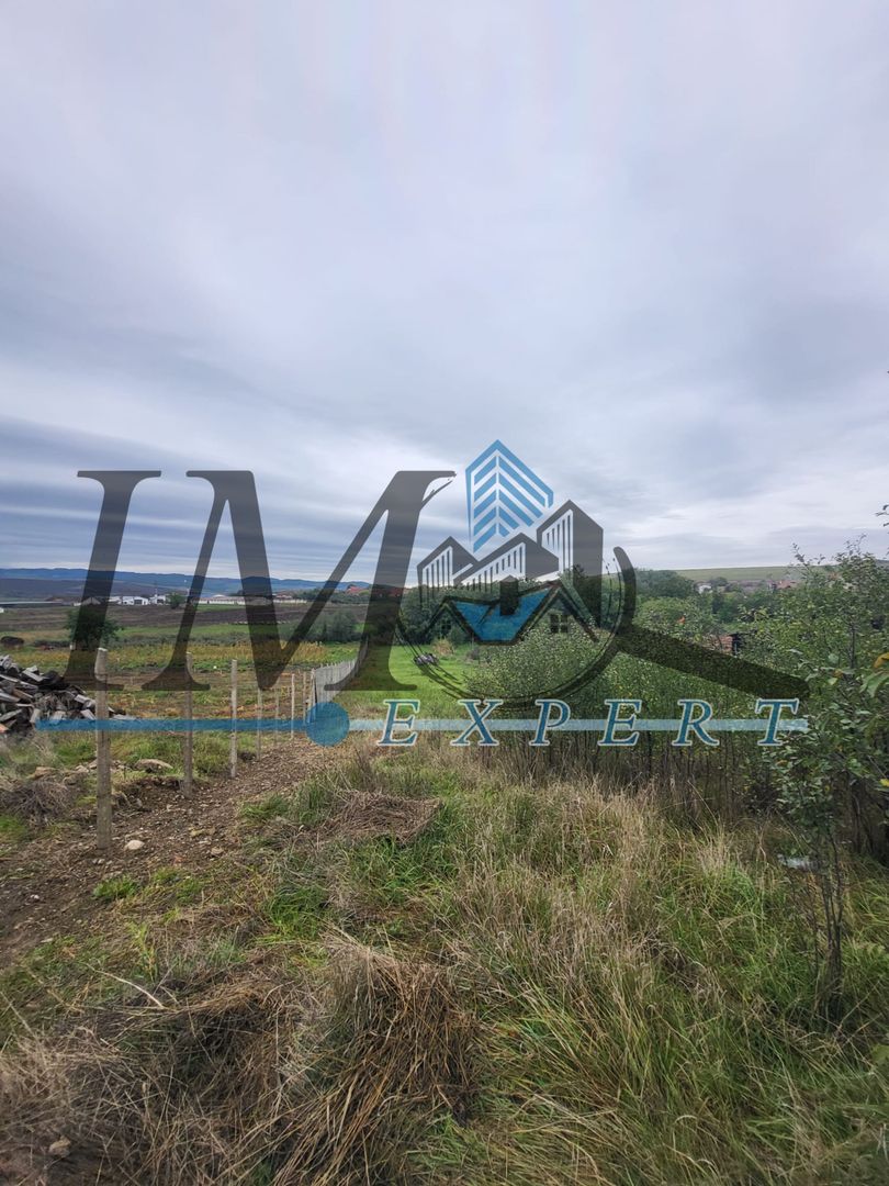 TEREN INTRAVILAN DE VANZARE IN CUT - Poză 3