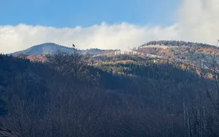 VILA 4 CAMERE, LERESTI, TEREN 3489 MP COMISION 0% CUMPARATOR - Poză 59