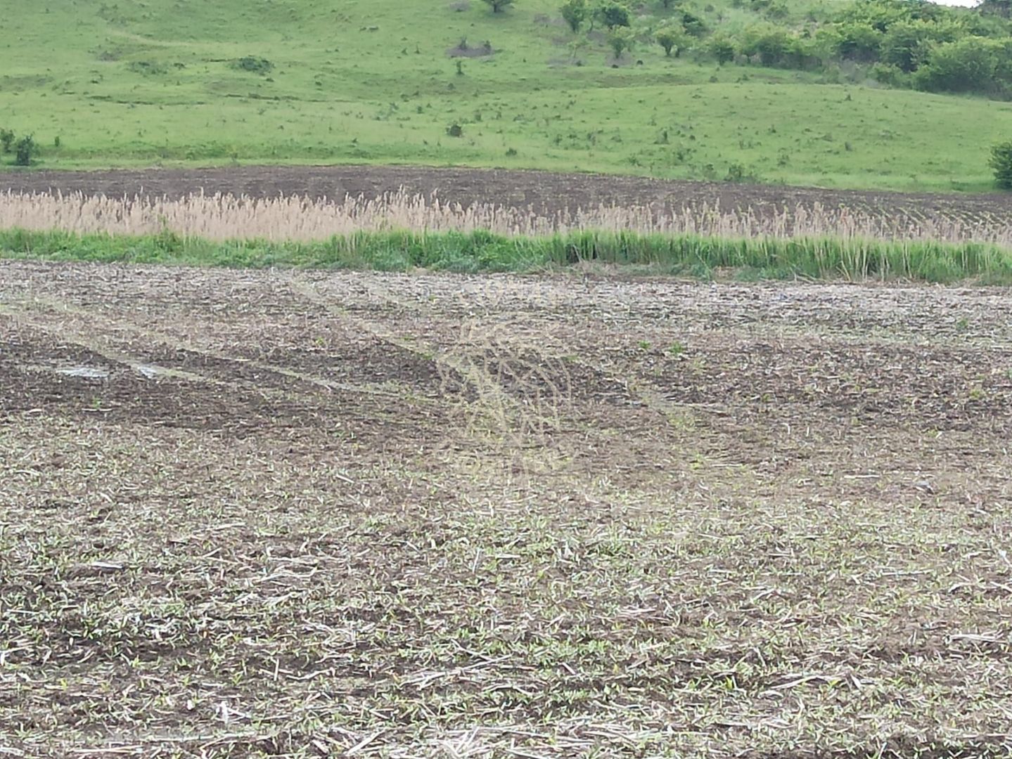 Teren intravilan 1000 mp cu utilitati-ideal casa P+2E-Sarata - Poză 1