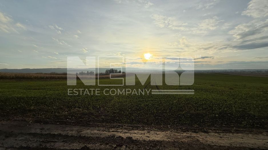 TEREN EXTRAVILAN | E85 | 126.000EURO NEGOCIABIL | - Poză 9