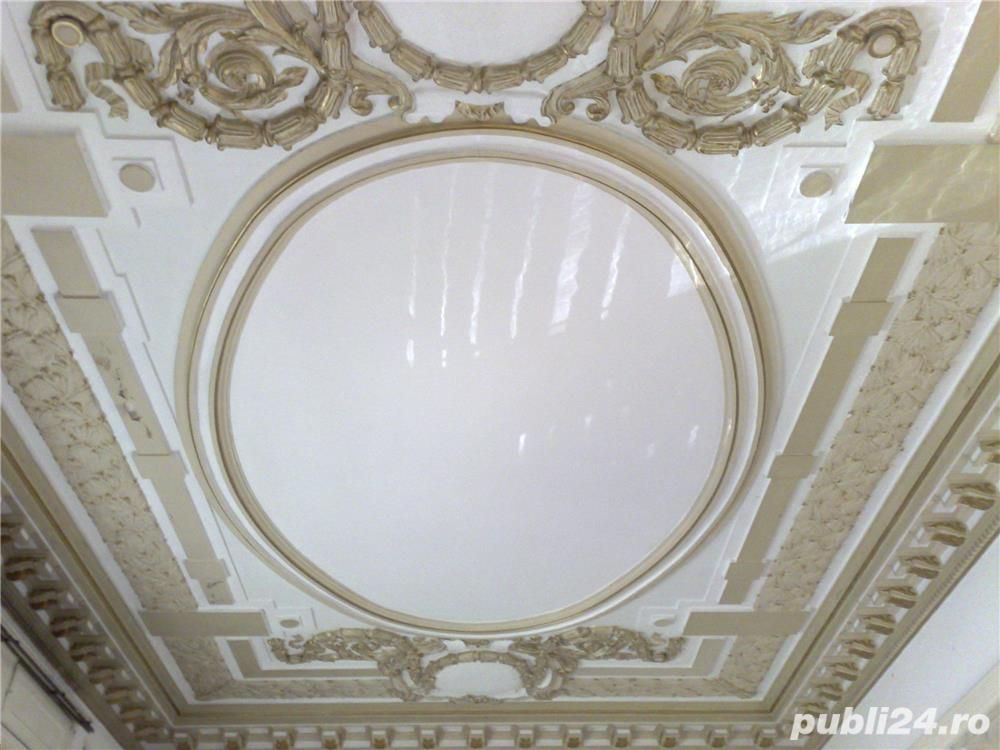 BRASADAS vinde vila cu 16 camere in zona ROMANA. - Poză 4